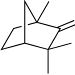 portrait img
